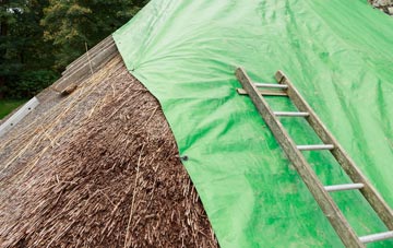 maintaining Cairston thatch
